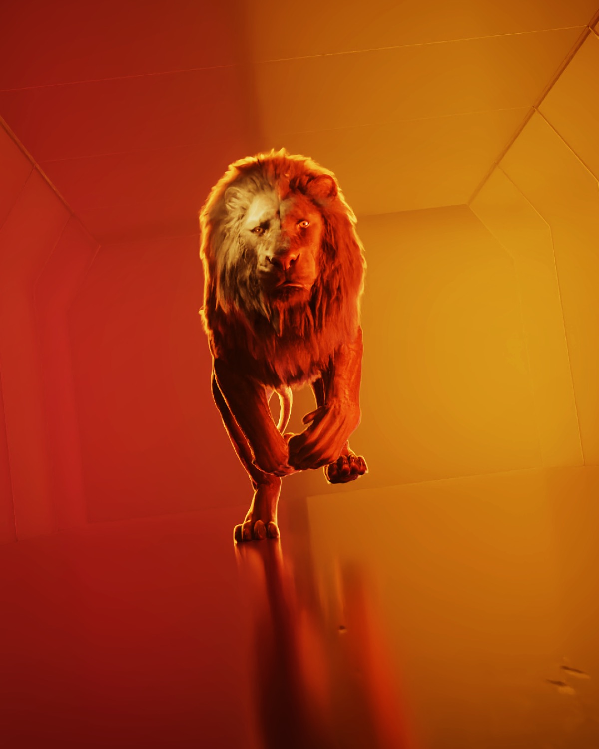 Lion detail