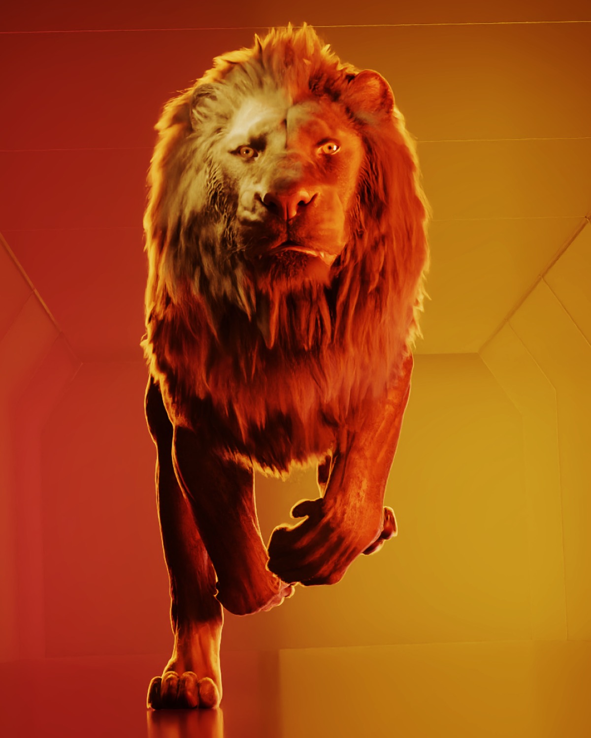 Lion detail
