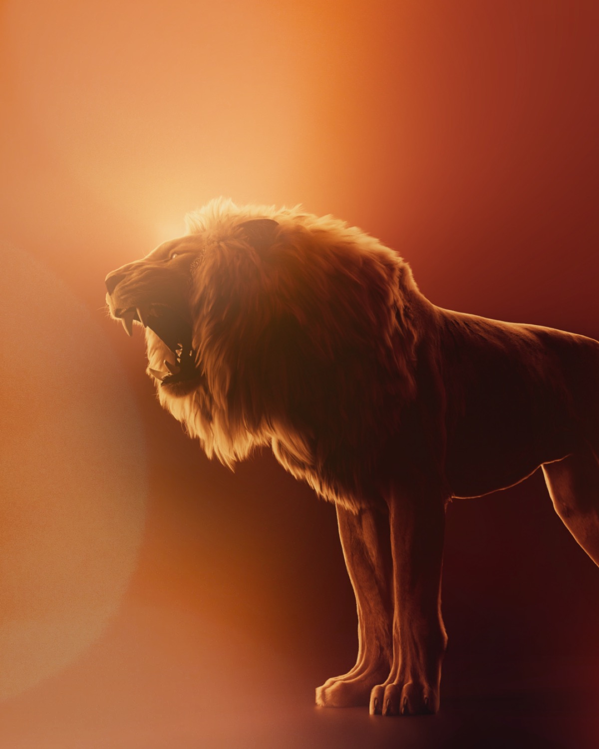 Lion detail